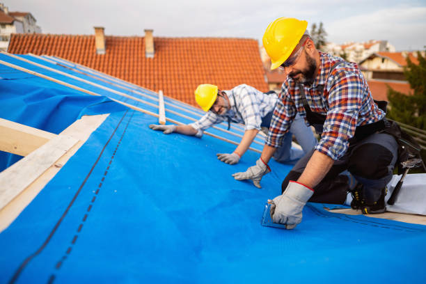 Roof Insulation